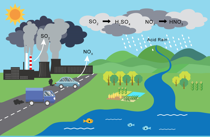 Schematic diagram of the article